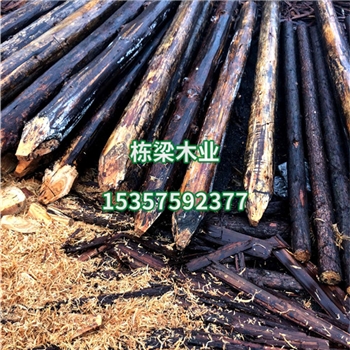 防腐杉木樁